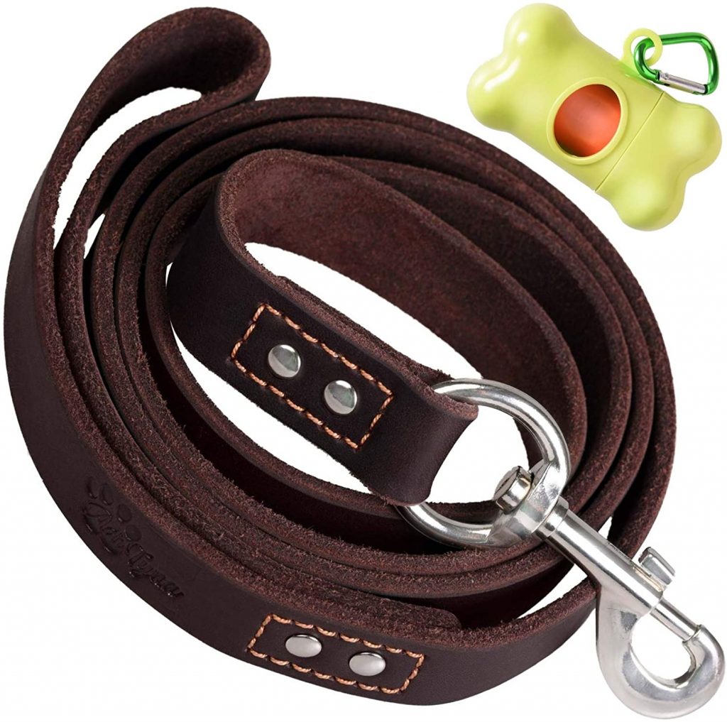 best leash for large dogs that pull