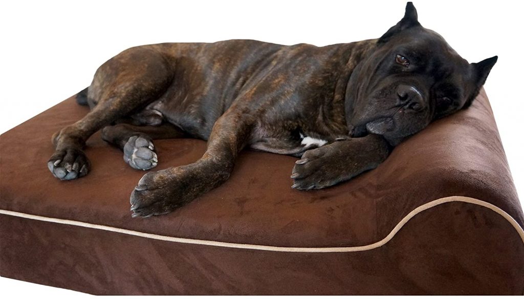 best dog bed for large older dogs