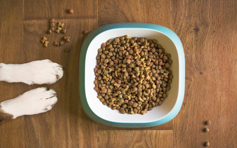 best dog food with taurine