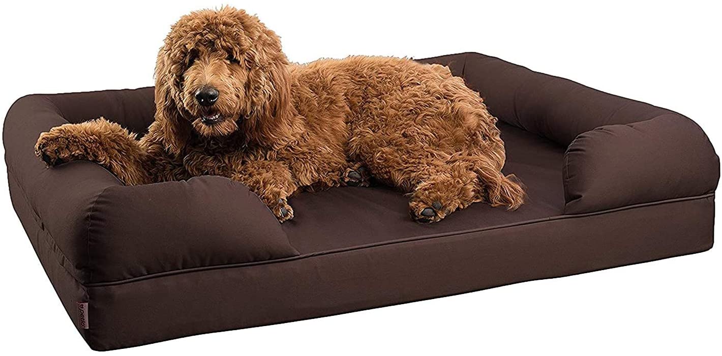 Best Dog Bed for Large Older Dogs Top 10 Picks!