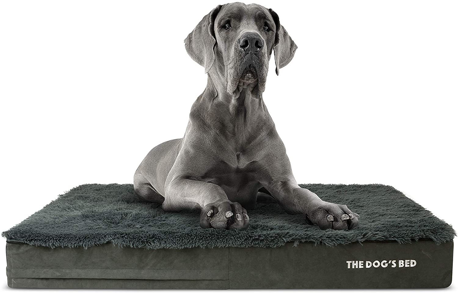 Best Dog Bed for Large Older Dogs Top 10 Picks!